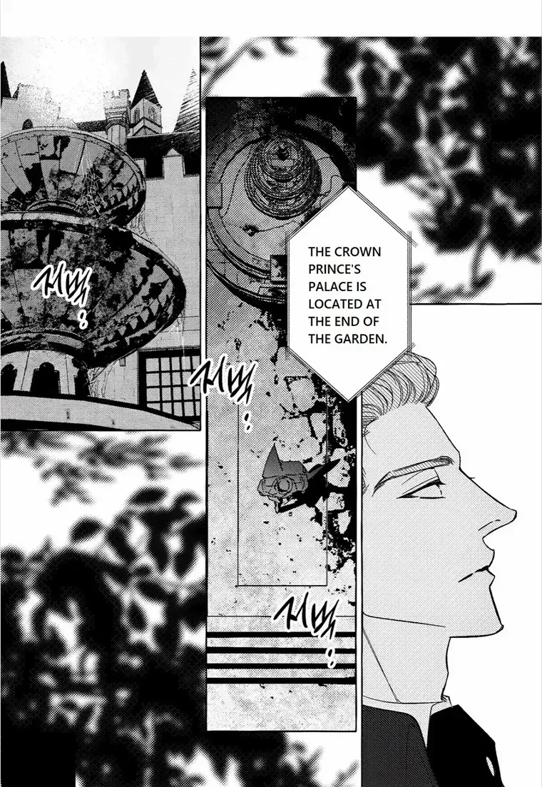 Chapter 4, page 19