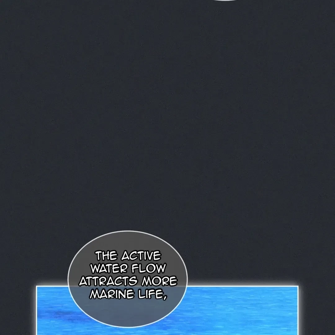 Chapter 2, page 113