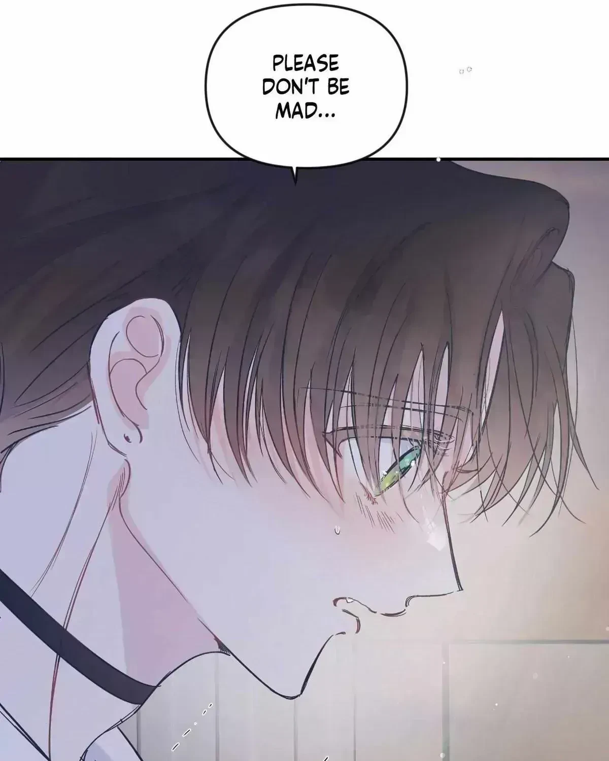 Chapter 42.9, page 31