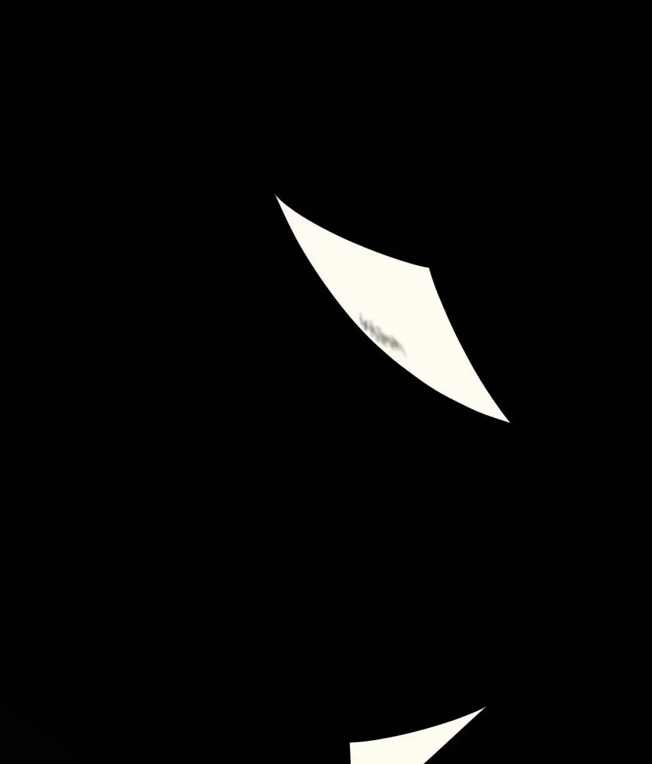 Chapter 31, page 171