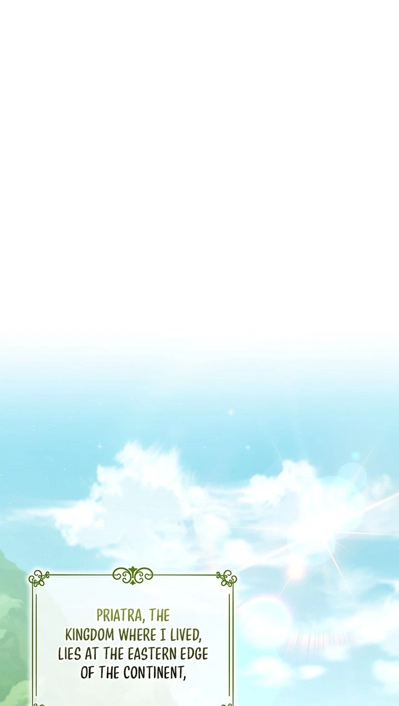Chapter 2, page 19