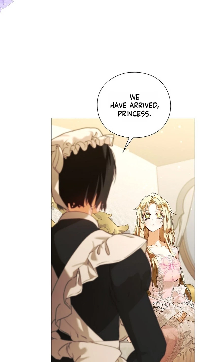 Chapter 2, page 8