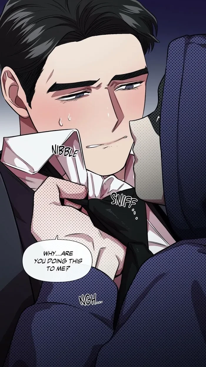 Chapter 3.1, page 28