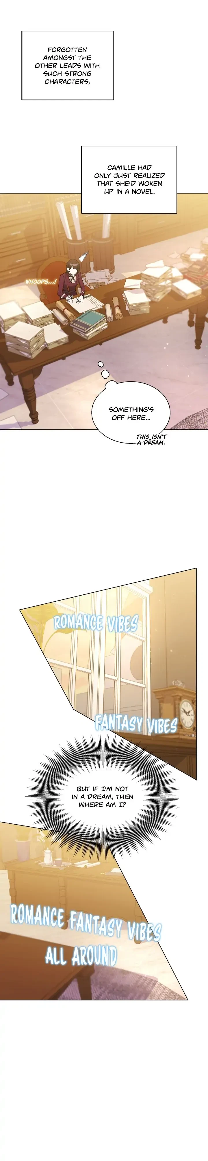 Chapter 2, page 19