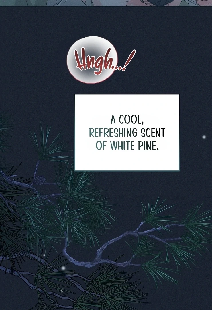 Chapter 1, page 17