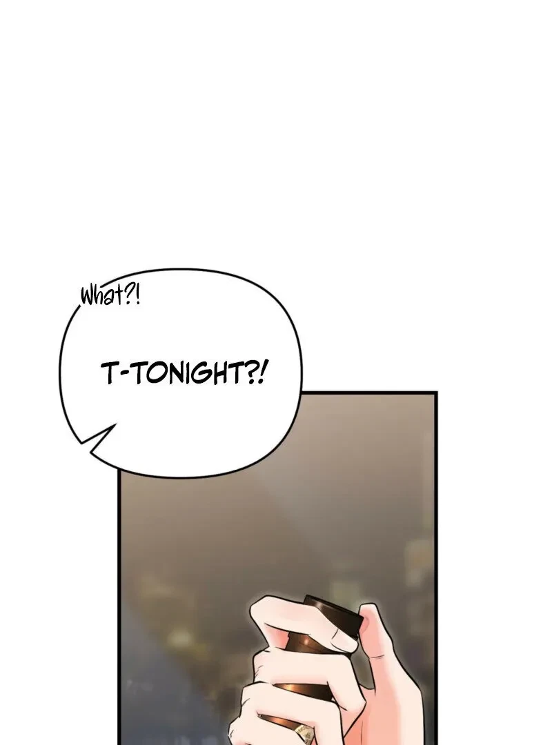 Chapter 1, page 85
