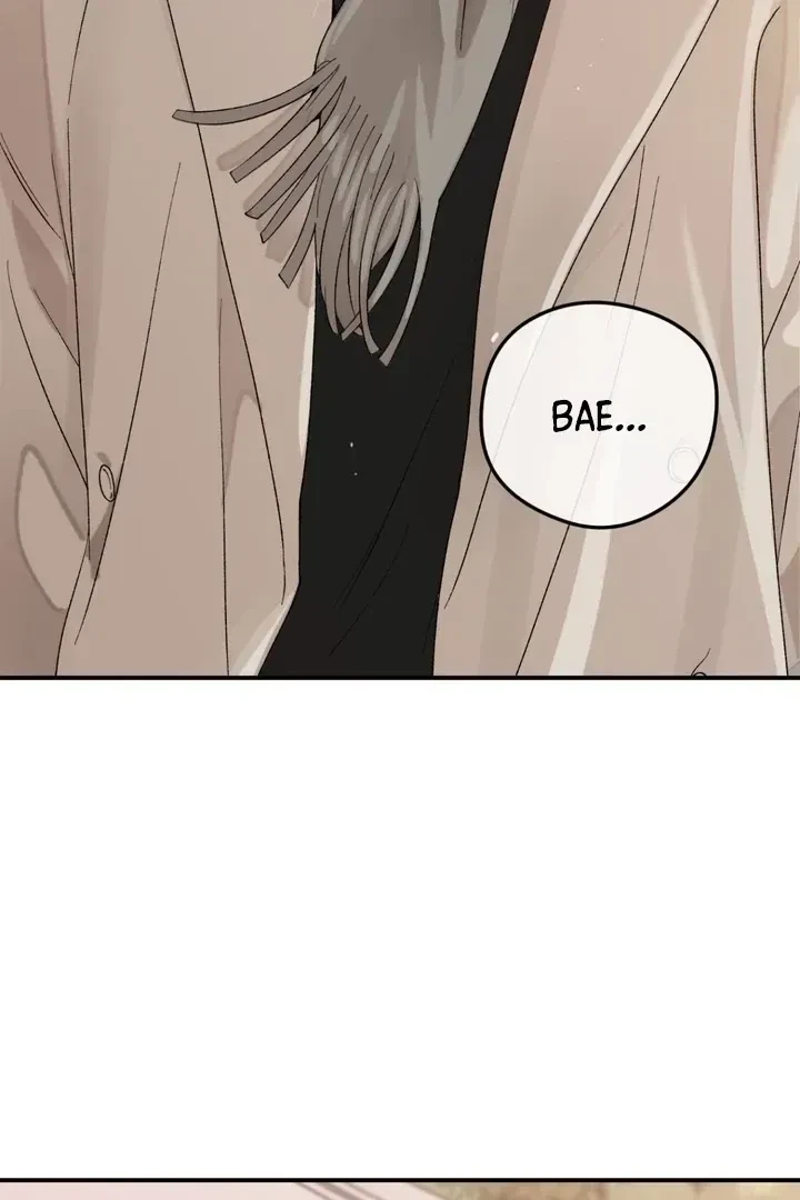 Chapter 3, page 100