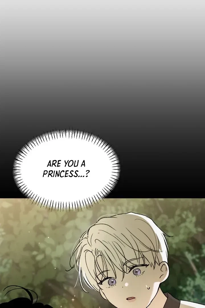 Chapter 3, page 66