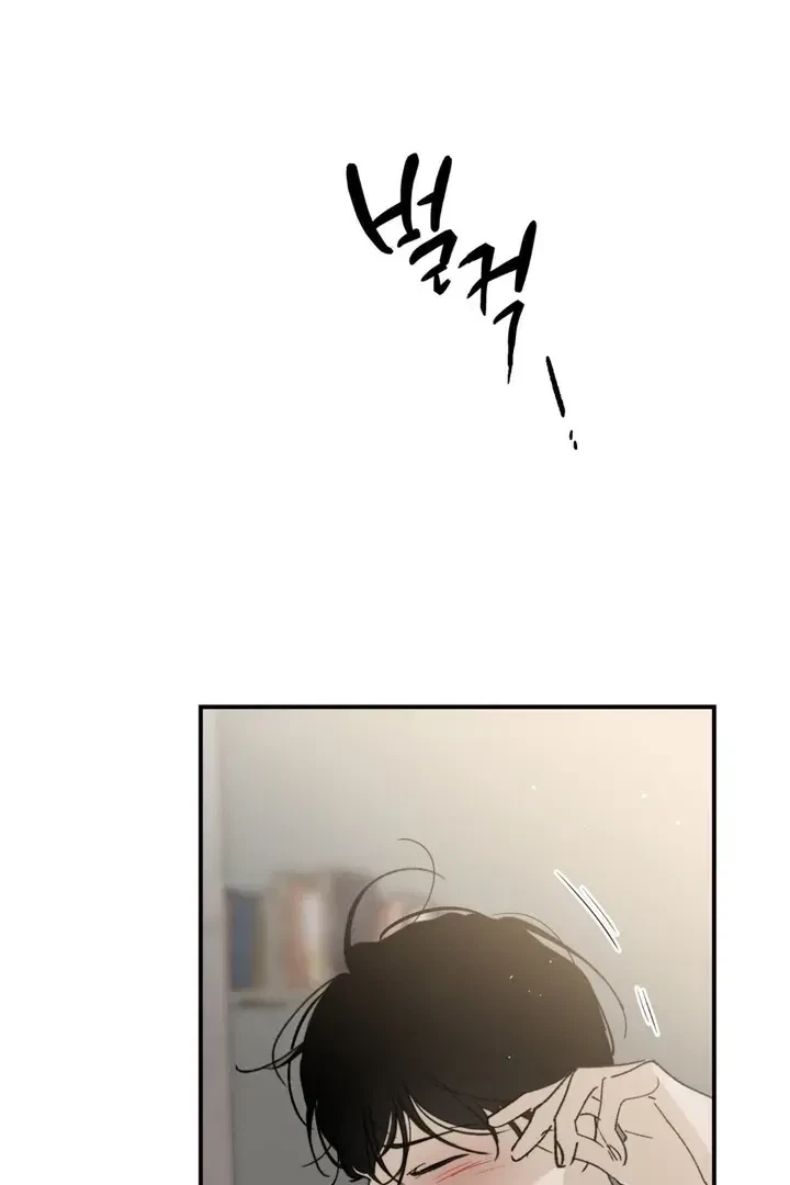 Chapter 3, page 96