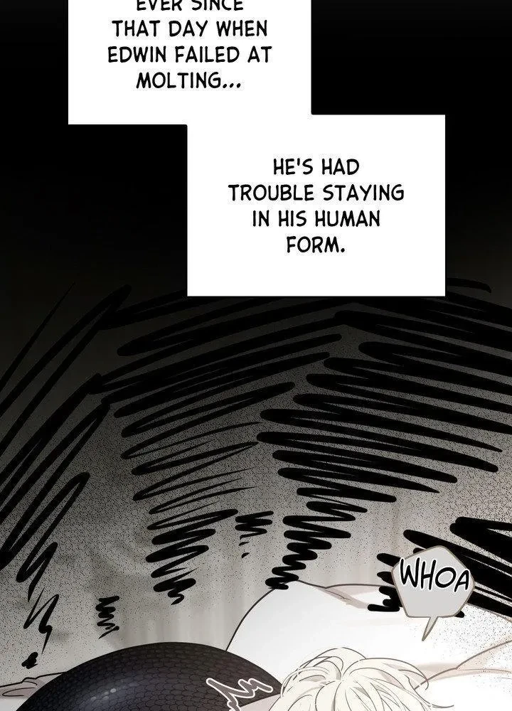 Chapter 26, page 41