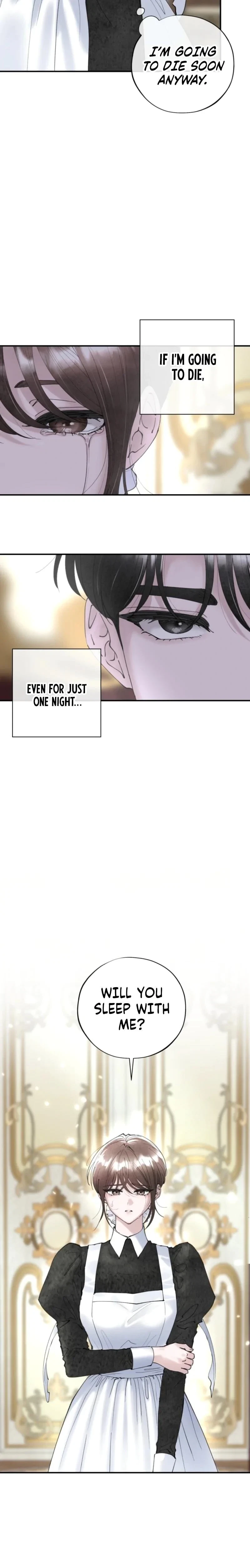 Chapter 1, page 13