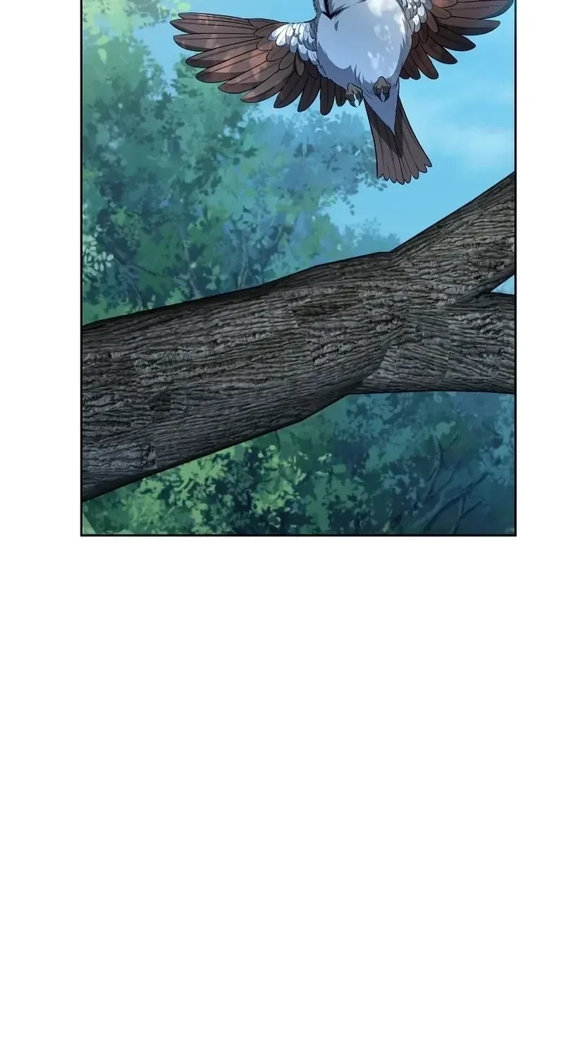 Chapter 17, page 96