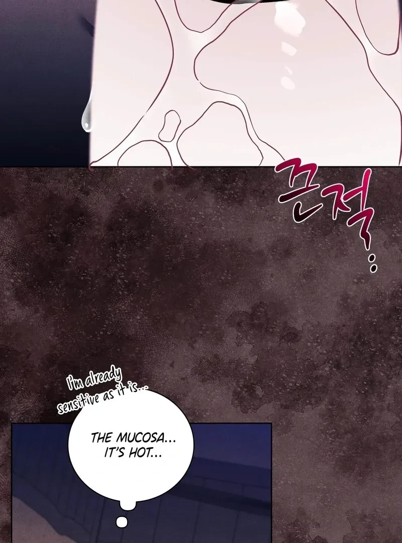 Chapter 4, page 44
