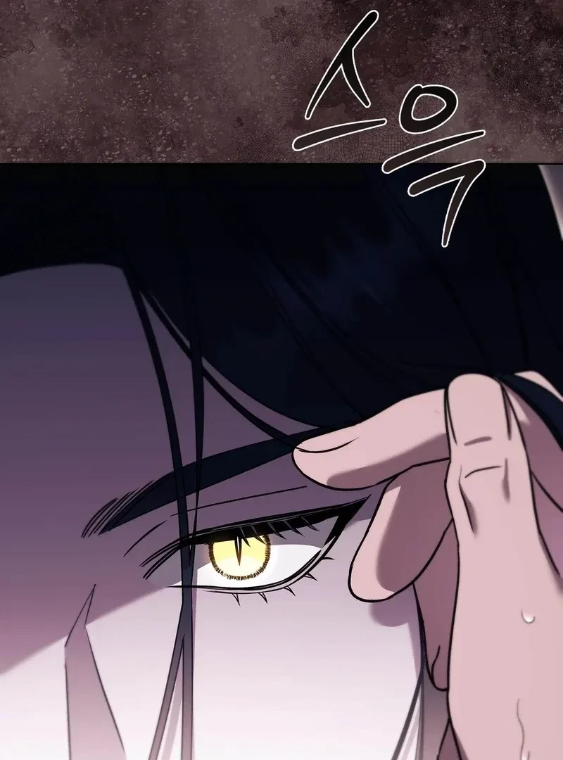 Chapter 4, page 52
