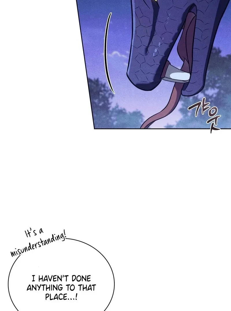 Chapter 4, page 80