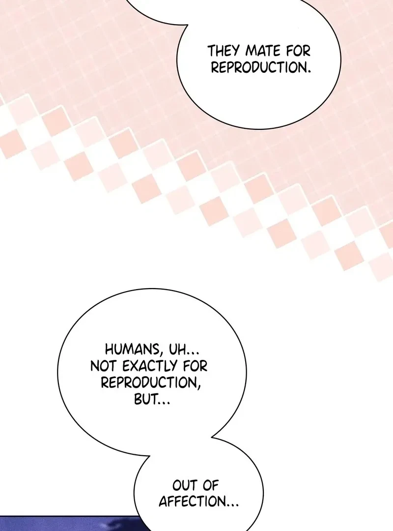 Chapter 4, page 85