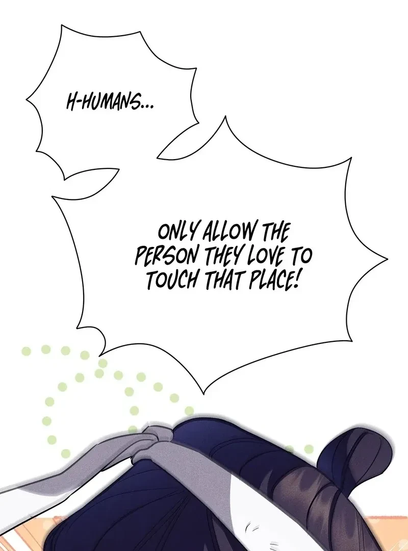 Chapter 4, page 87