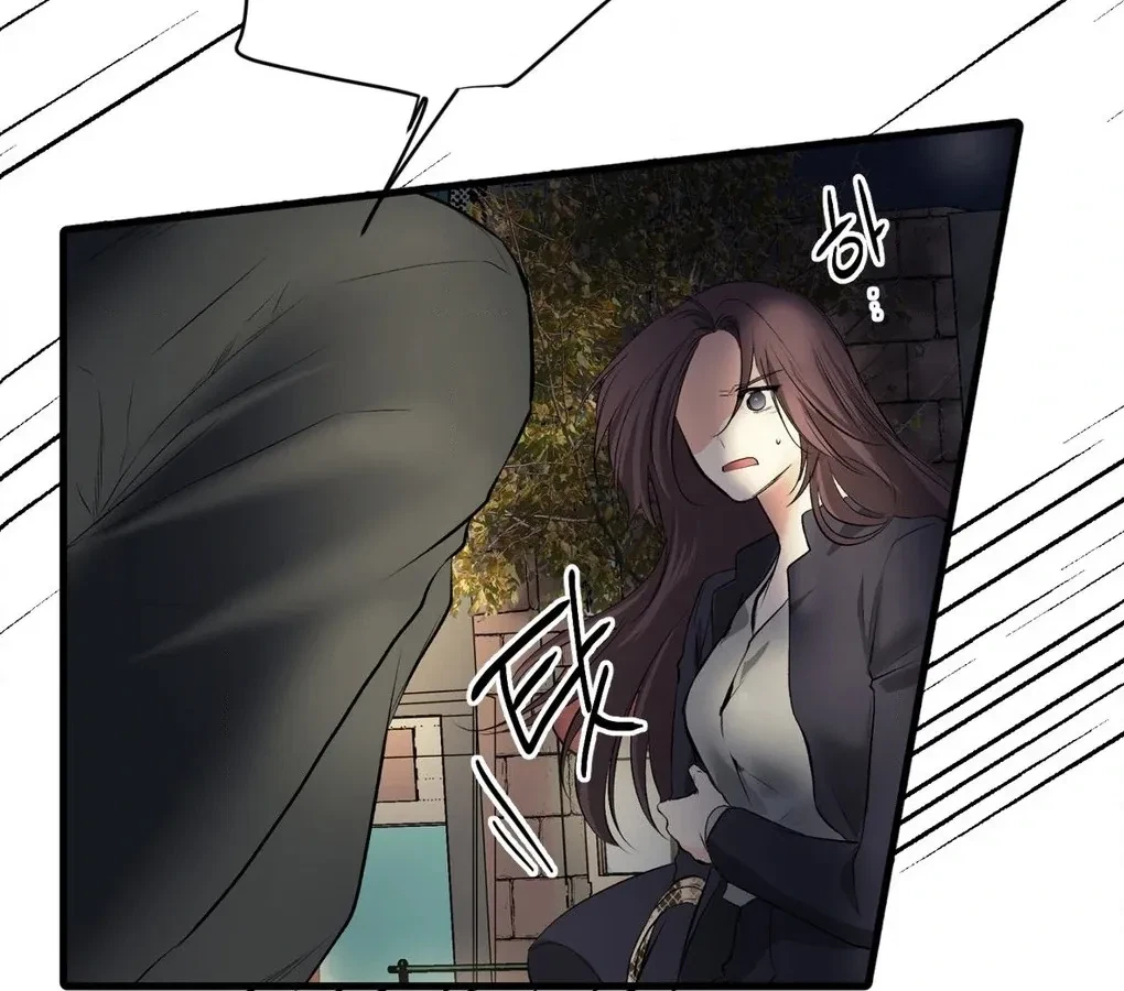 Chapter 5, page 101