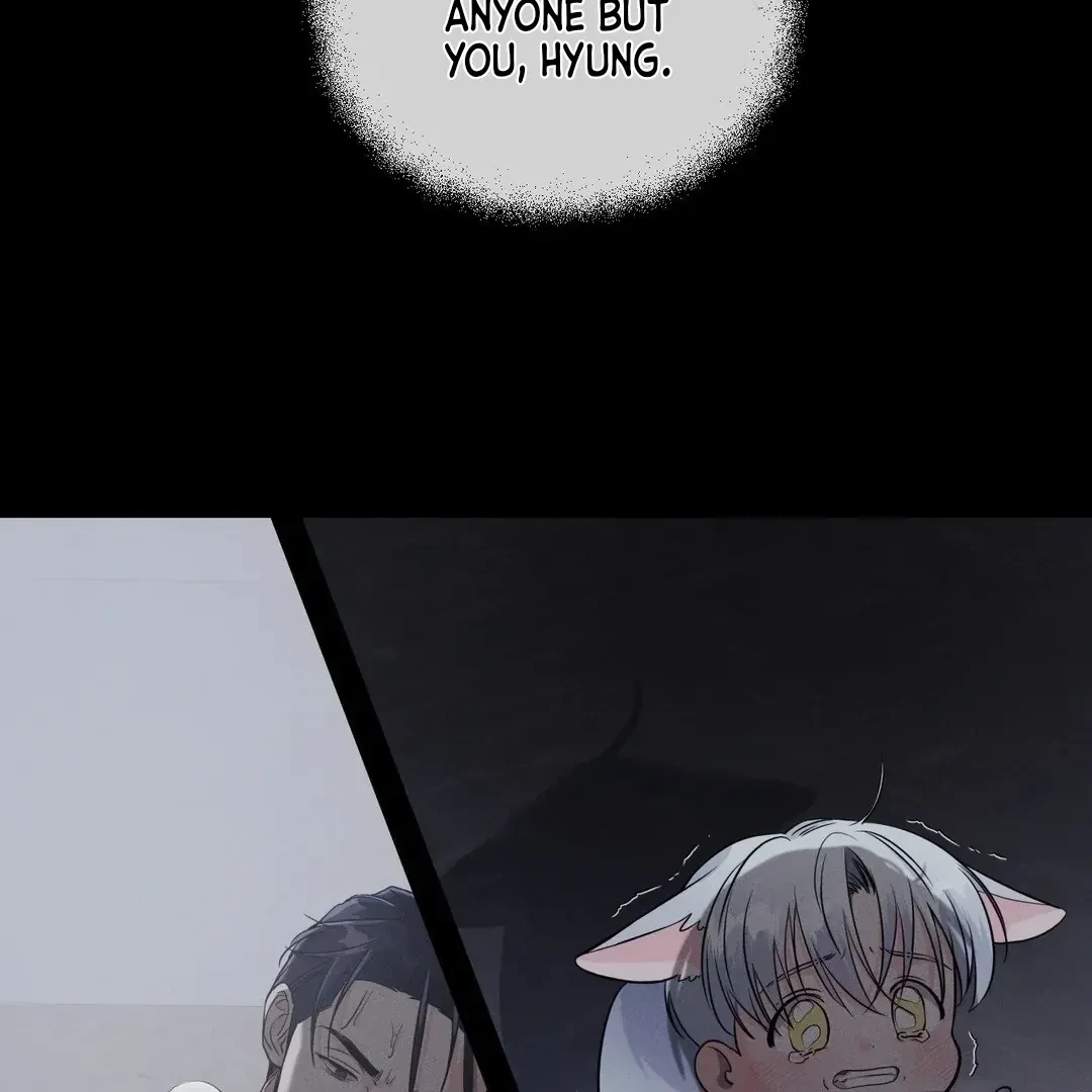 Chapter 3, page 12