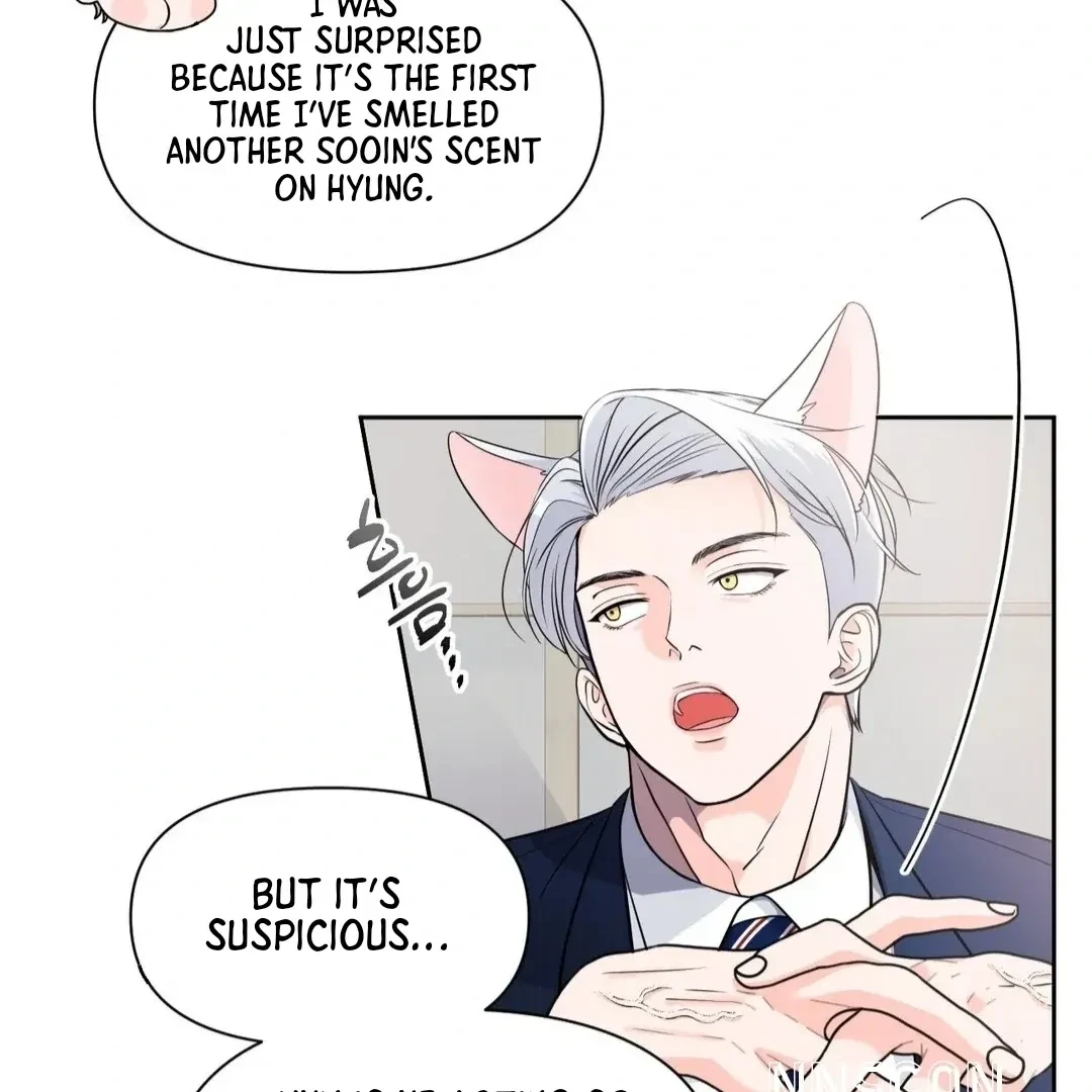 Chapter 3, page 31