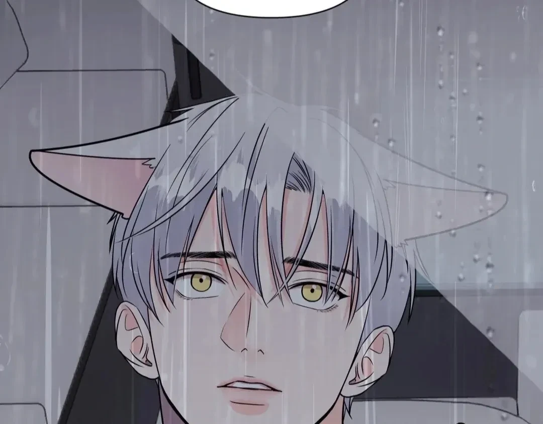 Chapter 3, page 85
