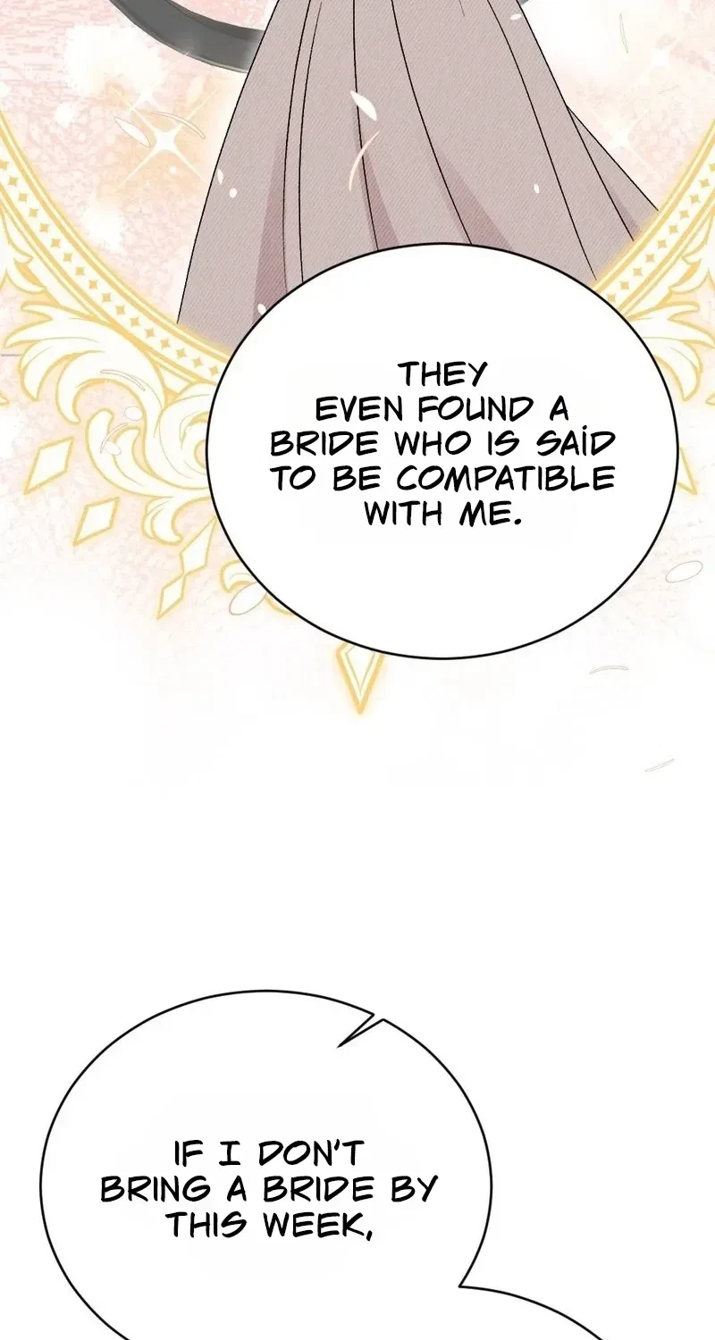 Chapter 2, page 110