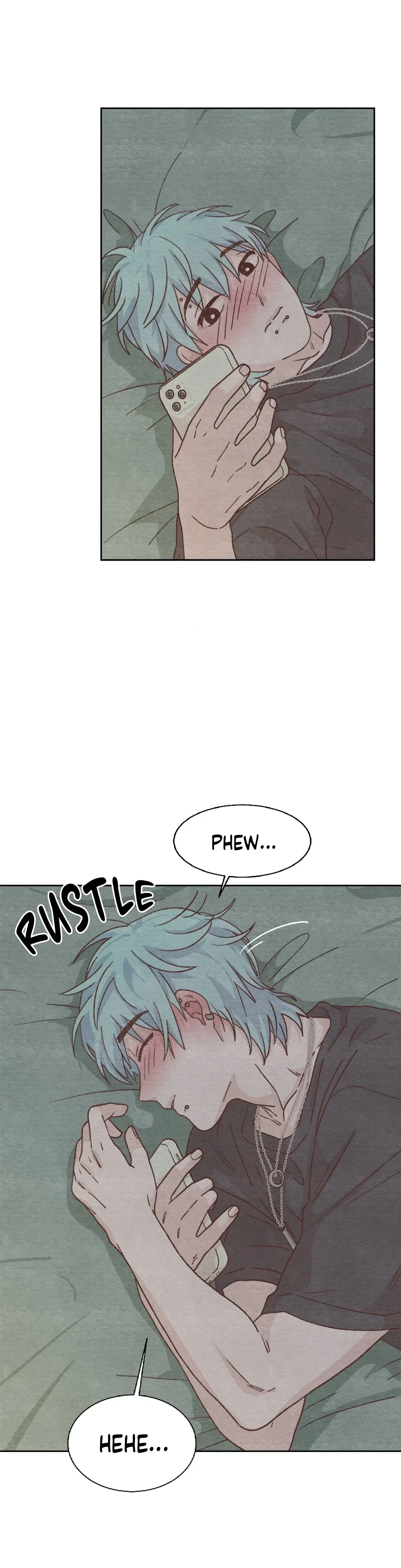 Chapter 4, page 29