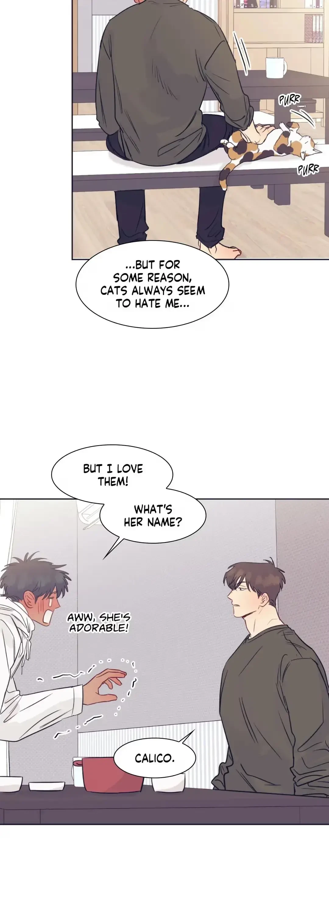 Perfectly Broken Love Chapter 19, page 15