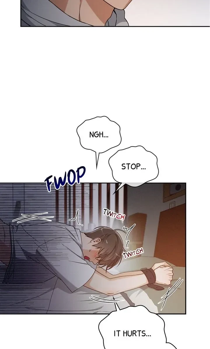 Chapter 2, page 30