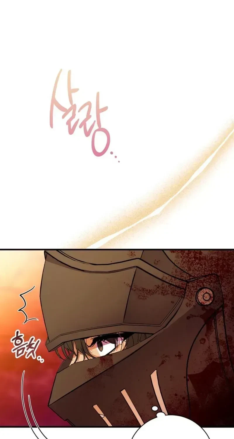 Chapter 1.1, page 29