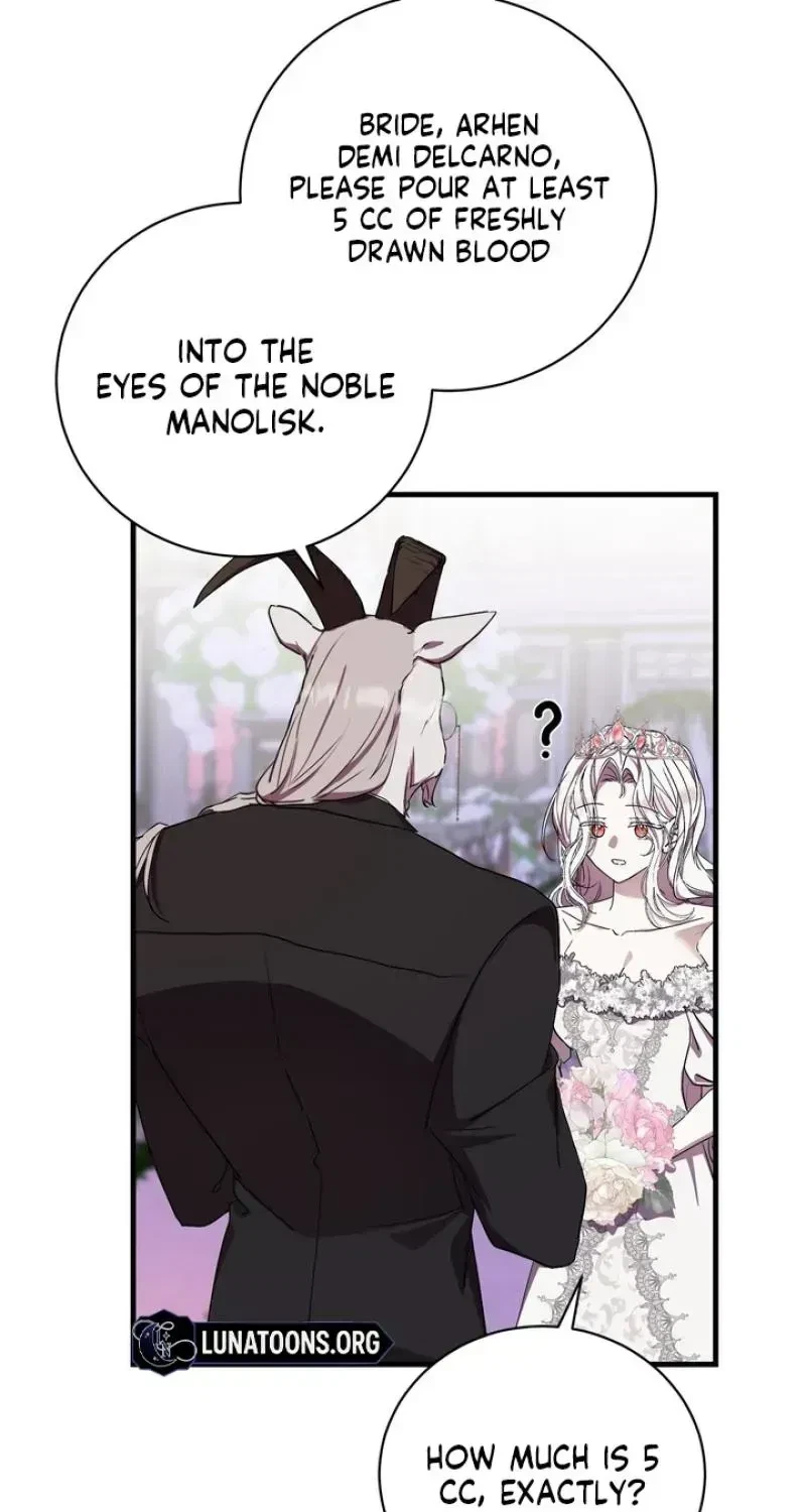 Chapter 1.1, page 61
