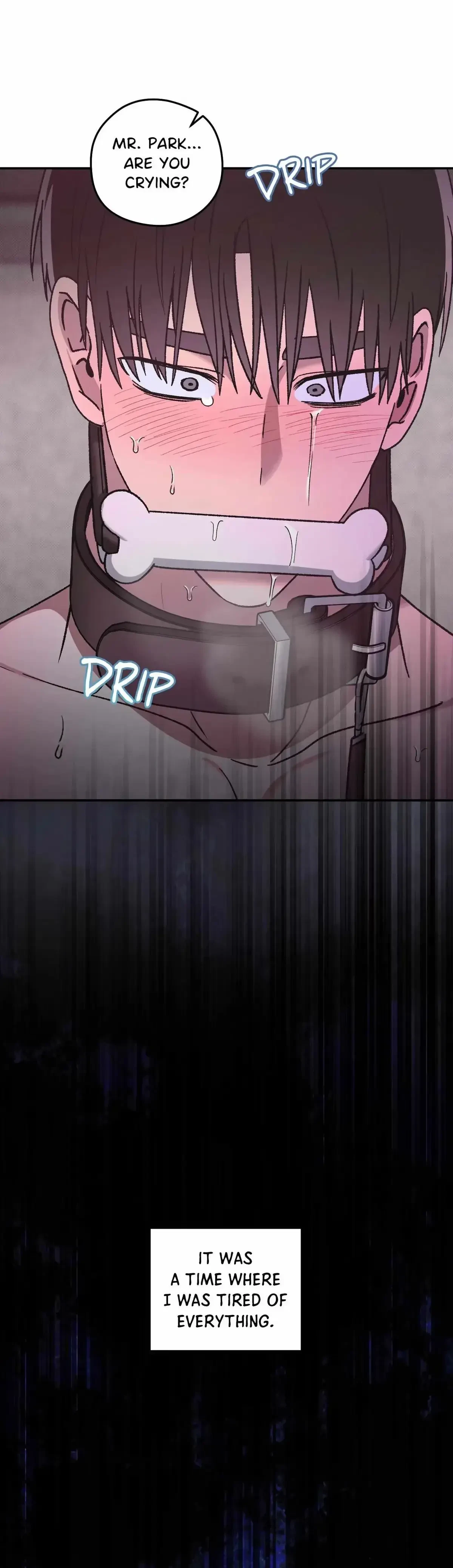 Chapter 5, page 41