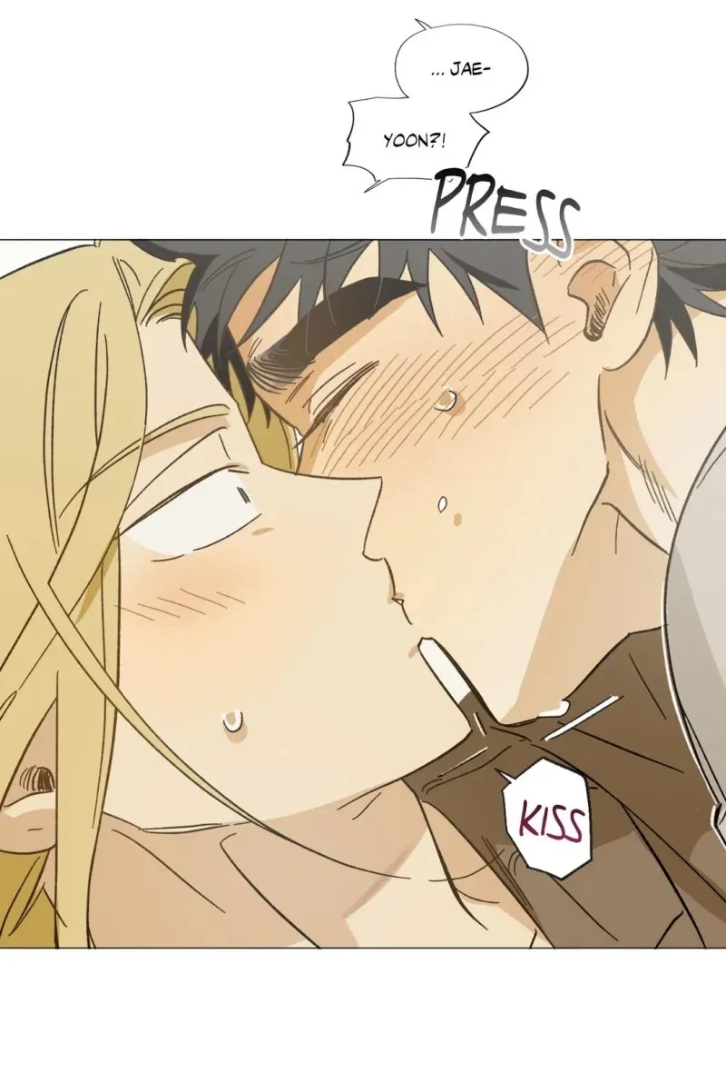 Chapter 30.3, page 17