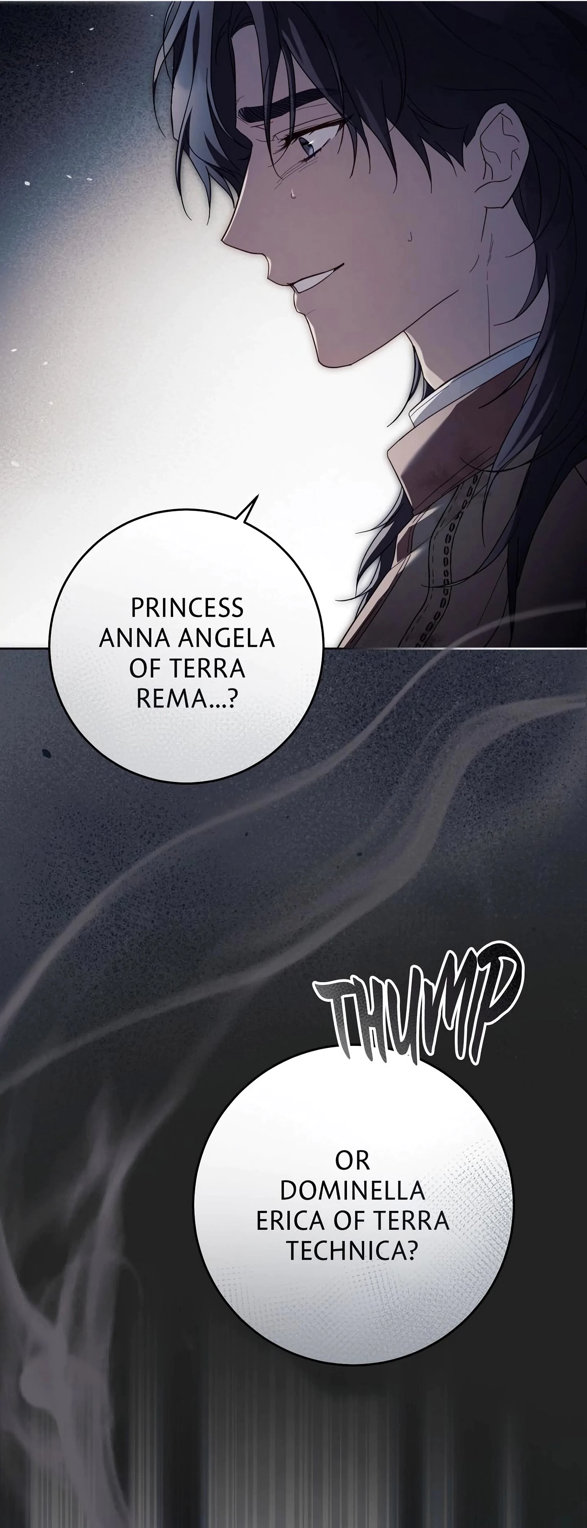 Chapter 2, page 29