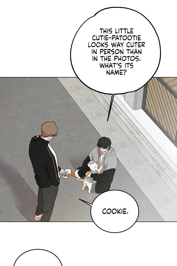 Chapter 7, page 21