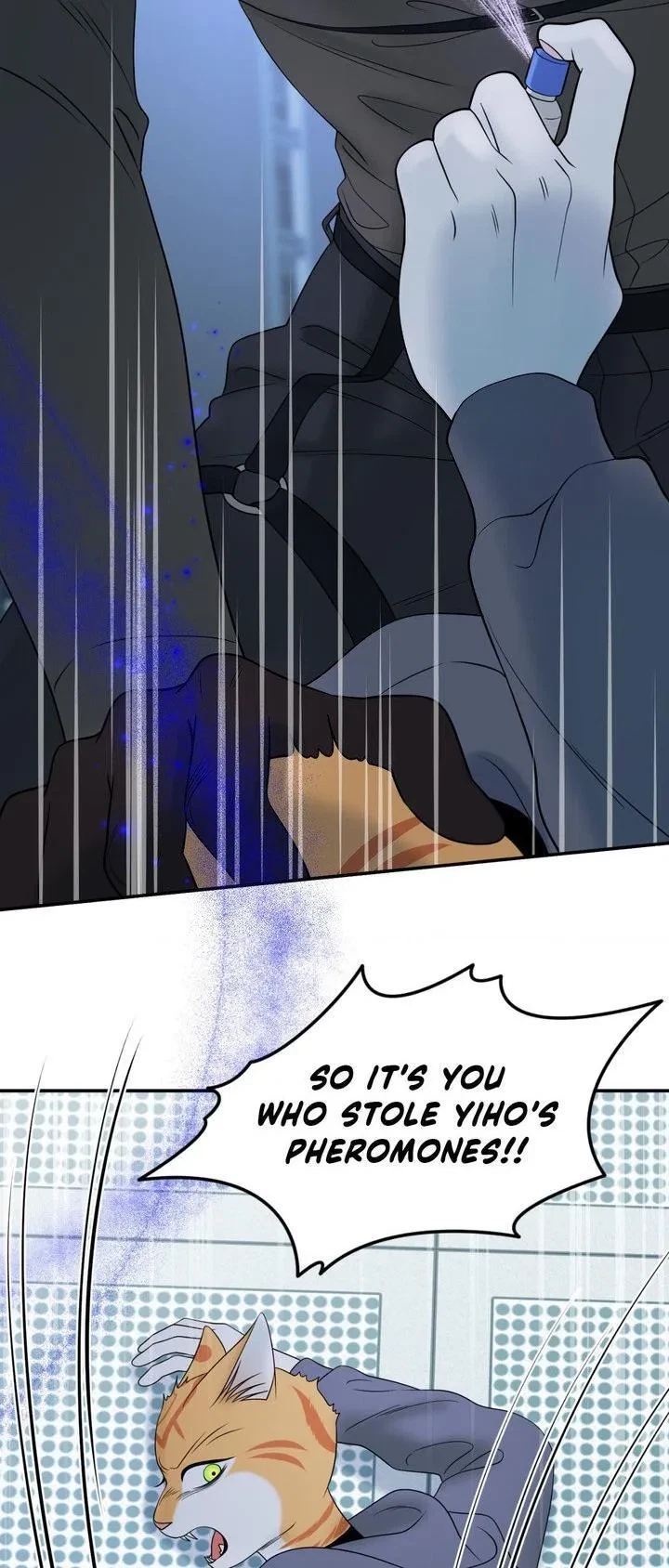 Chapter 97, page 40