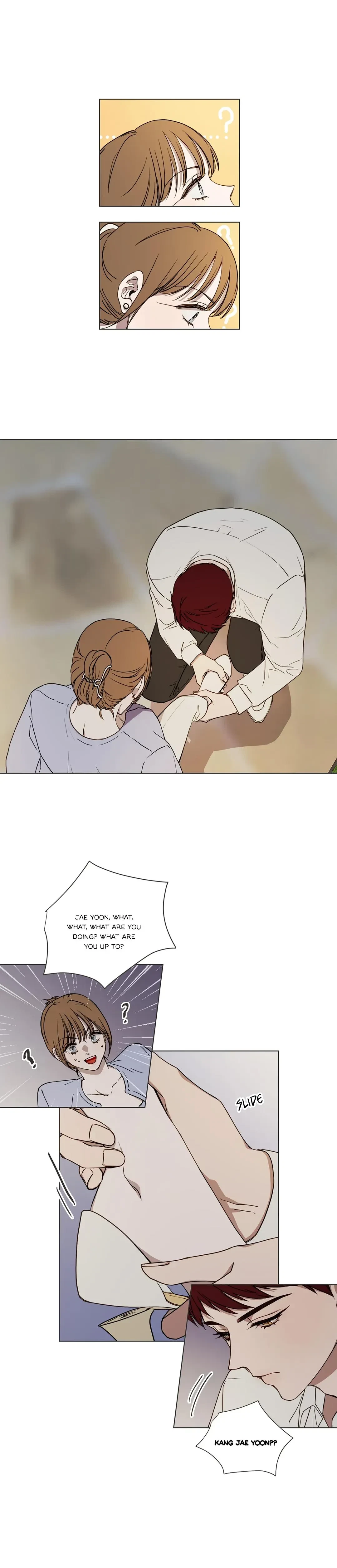Chapter 2, page 17