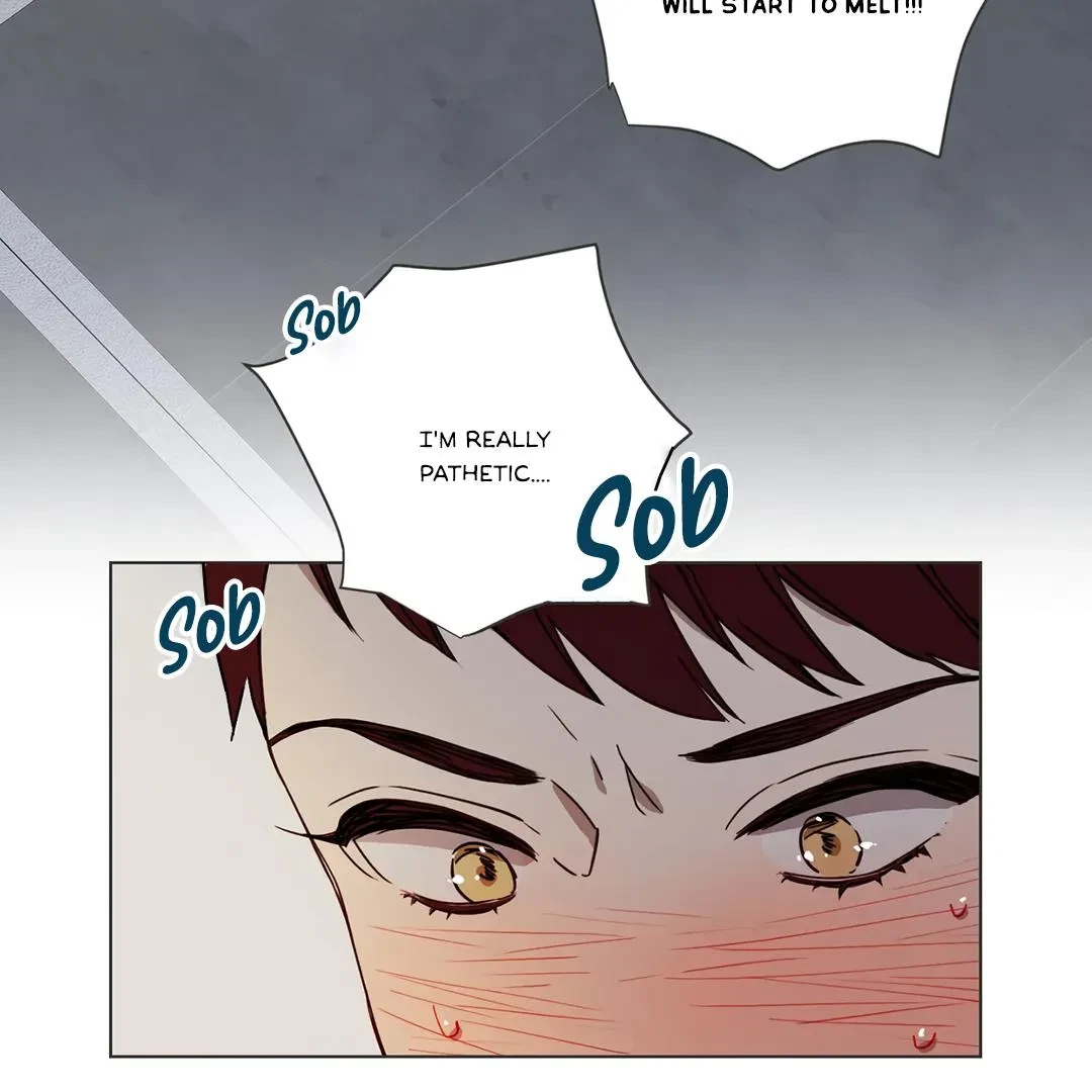 Chapter 2, page 71