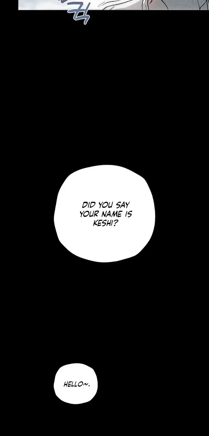 Chapter 1.1, page 49