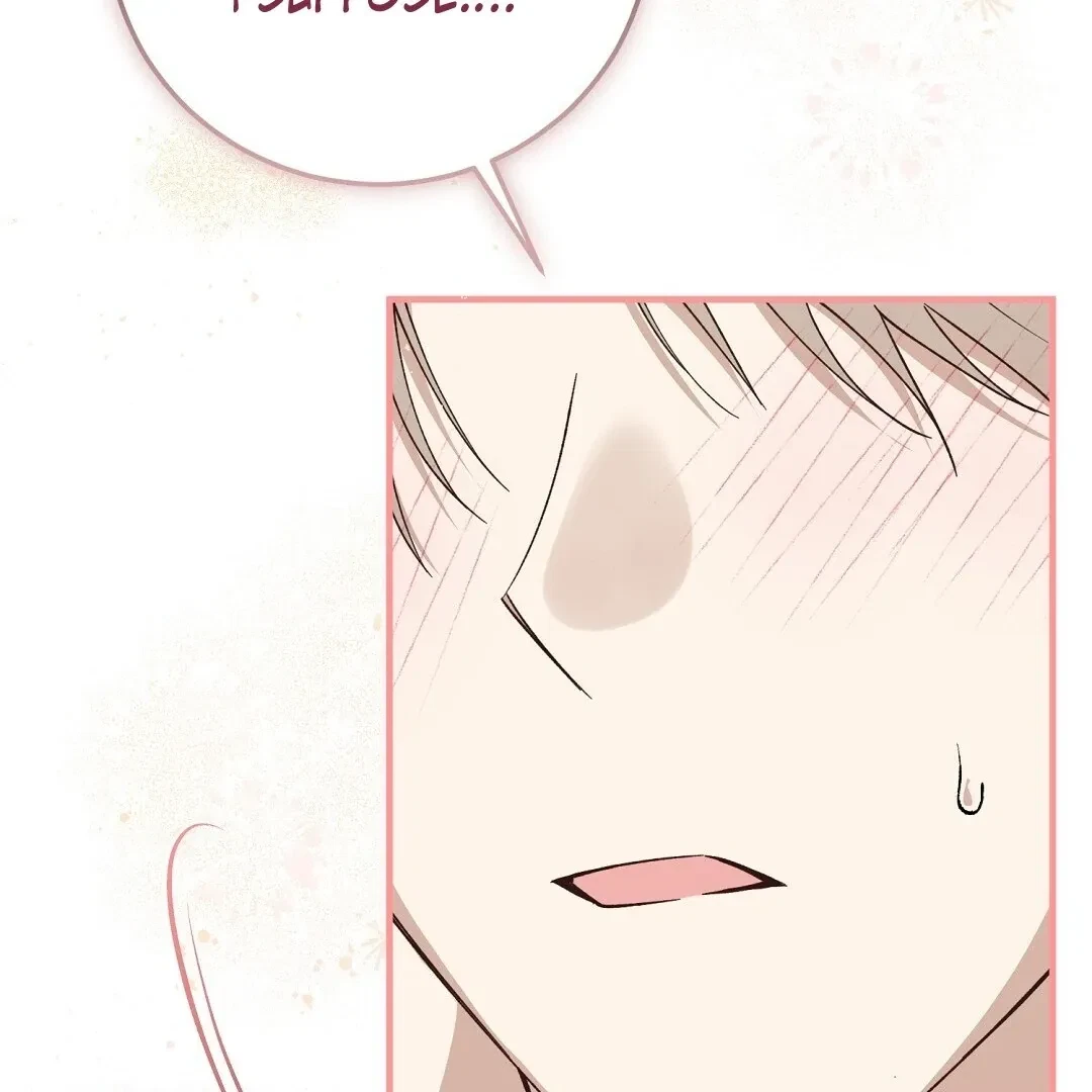 Chapter 2, page 244
