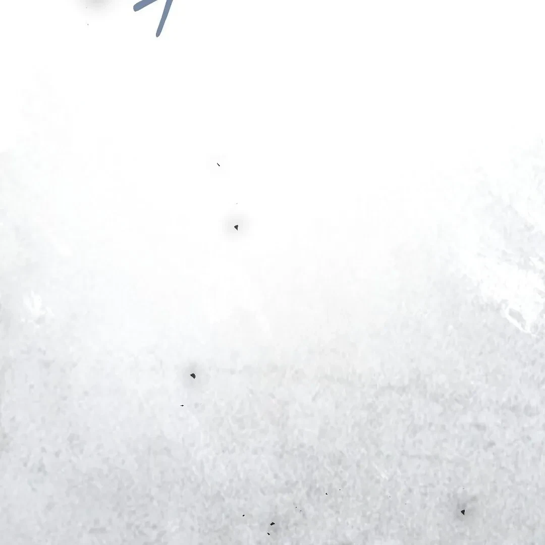 Chapter 2, page 78