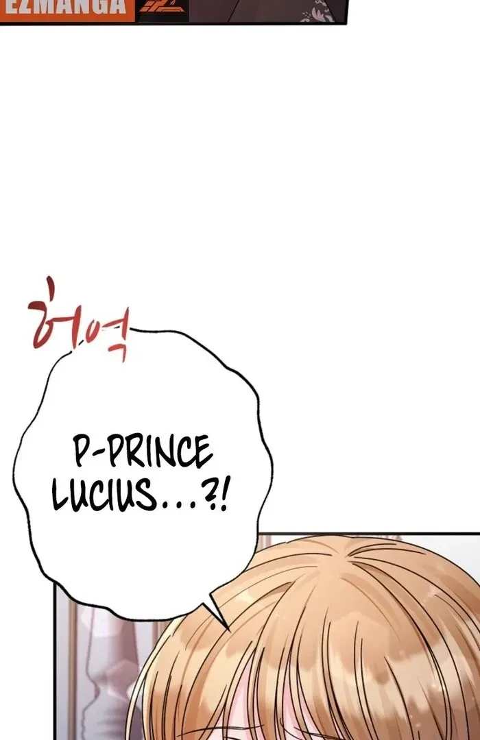 Chapter 3, page 17