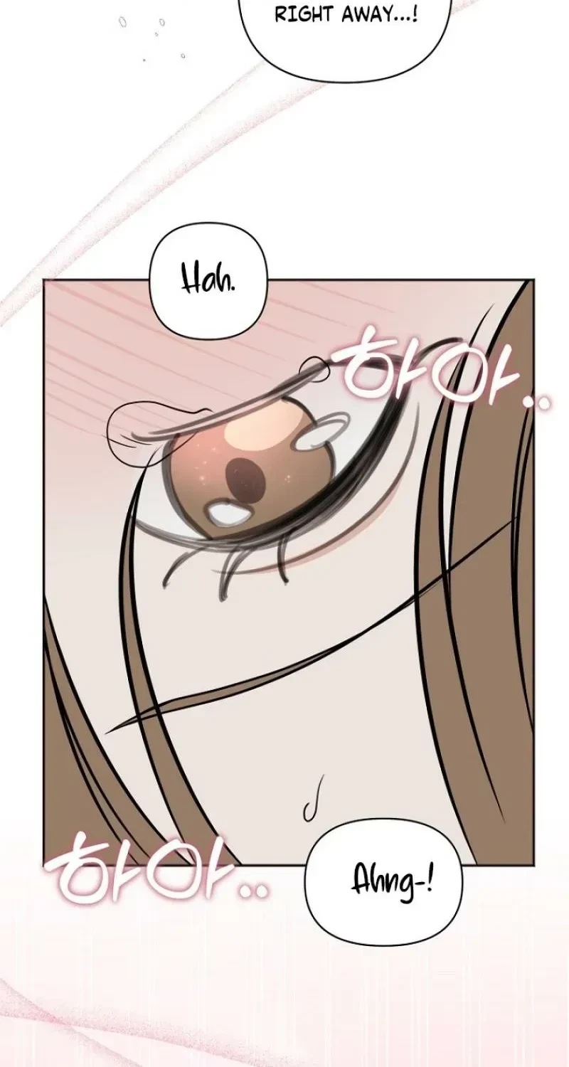 Chapter 3, page 50