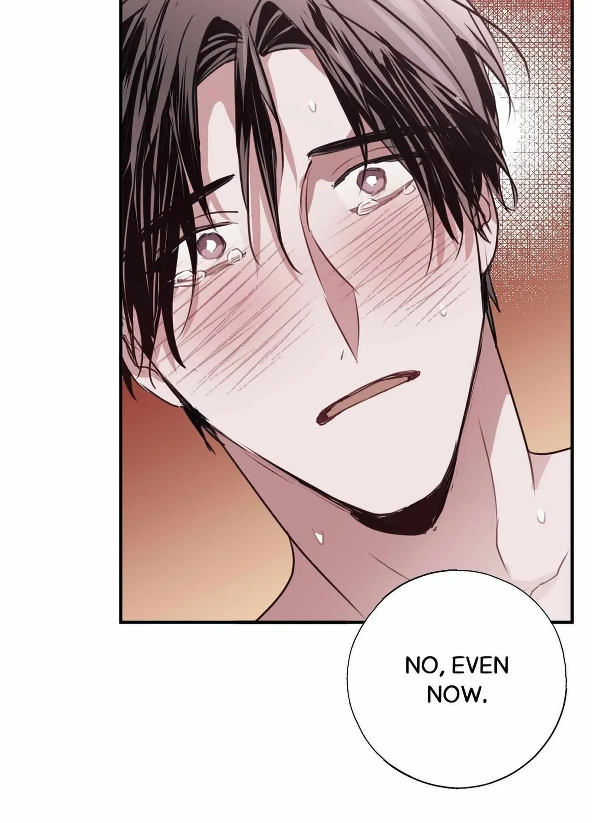 Chapter 13, page 96