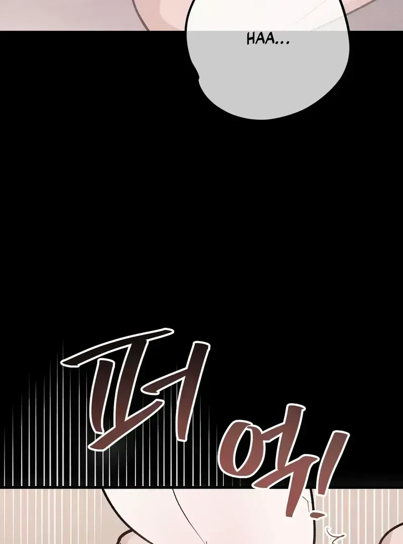 Chapter 1.4, page 51