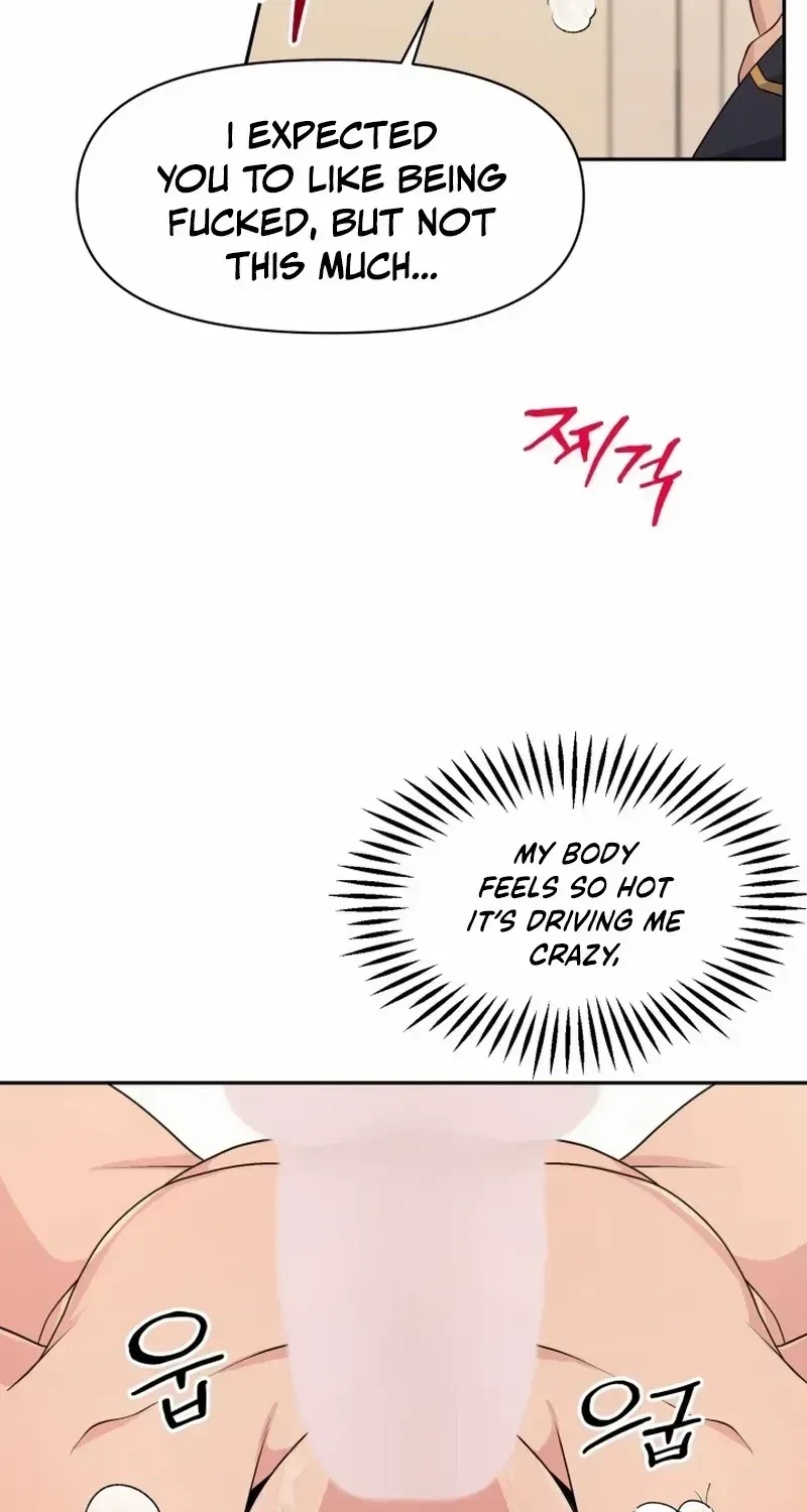 Chapter 1.1, page 85