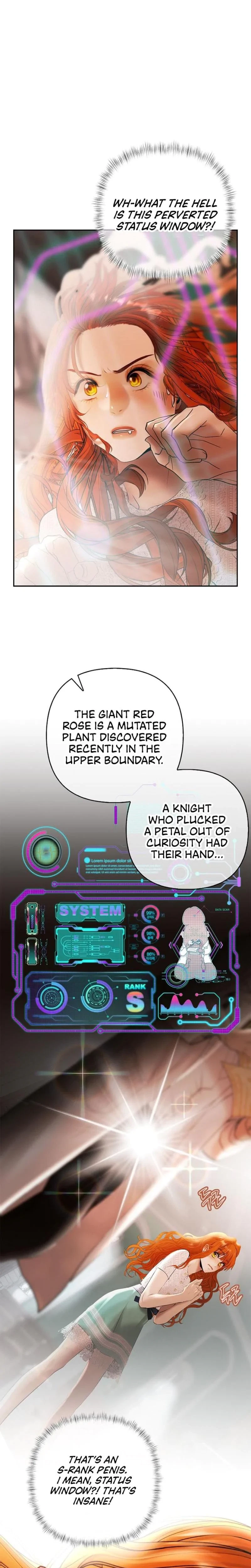Chapter 2, page 33