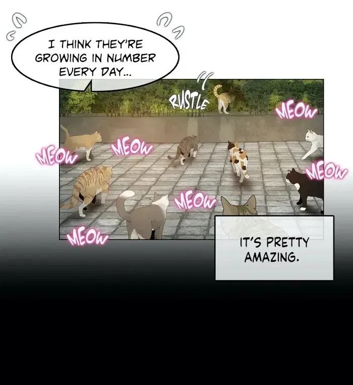 Chapter 72.1, page 14