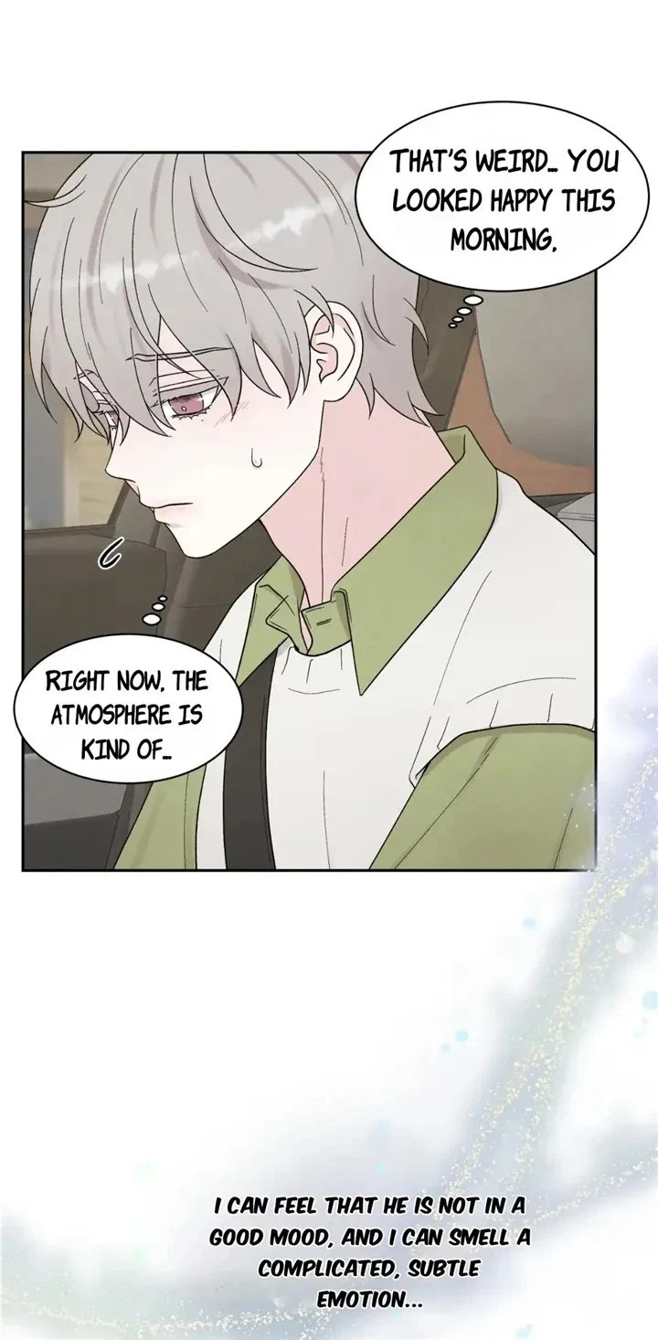 Chapter 41, page 62