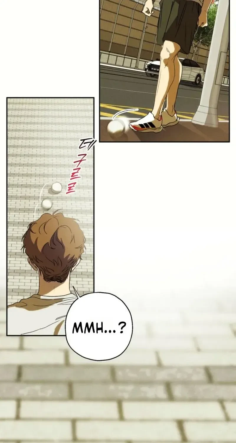 Chapter 3.1, page 20